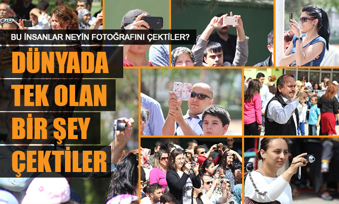 BU İNSANLAR NEYİN FOTOĞRAFINI ÇEKTİLER?