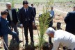 Acıpayam’da fidan dikimi