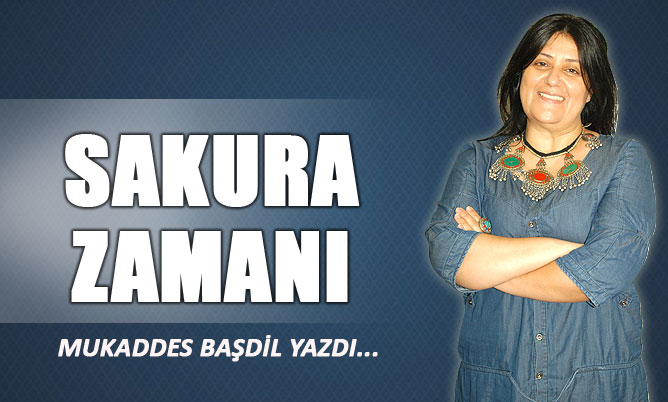 SAKURA ZAMANI