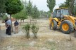 Bir zamanlar parktı