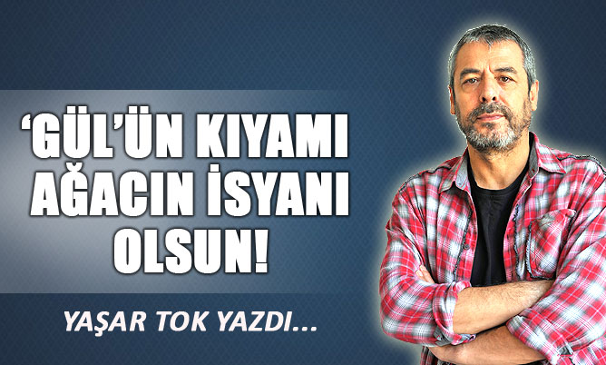 ‘GÜL’ÜN KIYAMI AĞACIN İSYANI OLSUN!