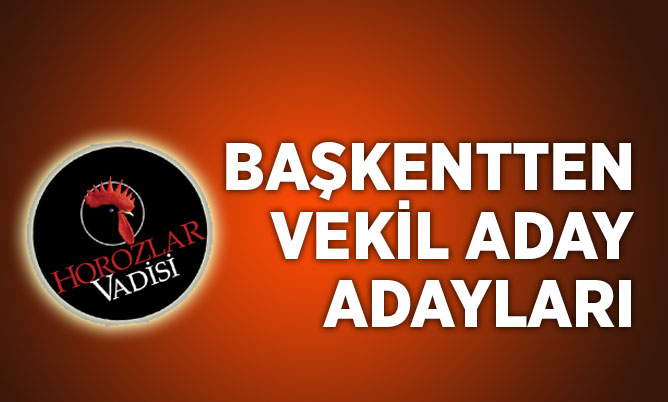 BAŞKENTTEN VEKİL ADAY ADAYLARI
