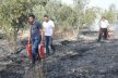 Fabrika işçileri söndürme tüpleriyle orman yangınına müdahale etti