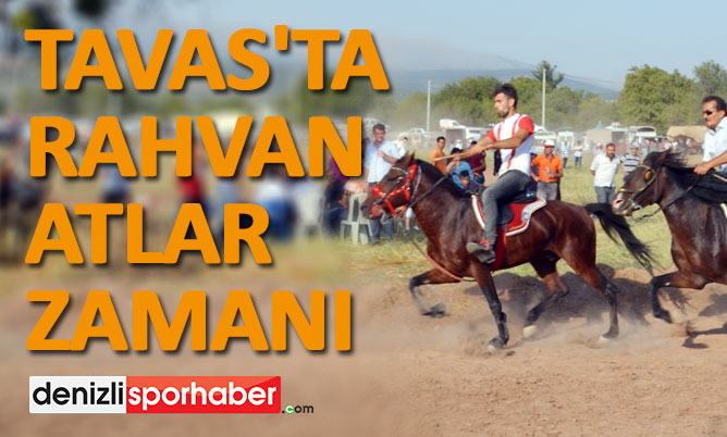 (Denizlisporhaber.com) Tavas’ta rahvan atları zamanı