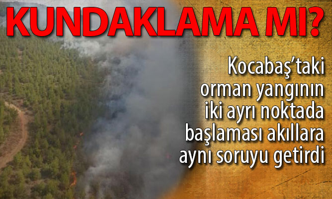 Honaz’daki orman yangını kontrol altına alındı