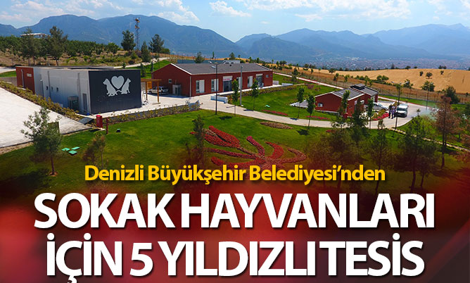 Büyükşehir’den sokak hayvanlarına 5 yıldızlı tesis