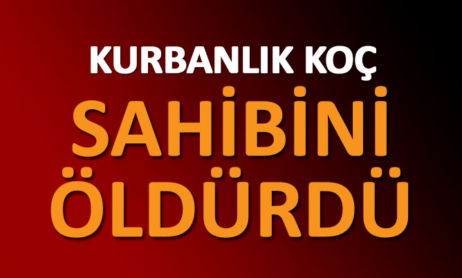 KURBANLIK KOÇ SAHİBİNİ ÖLDÜRDÜ