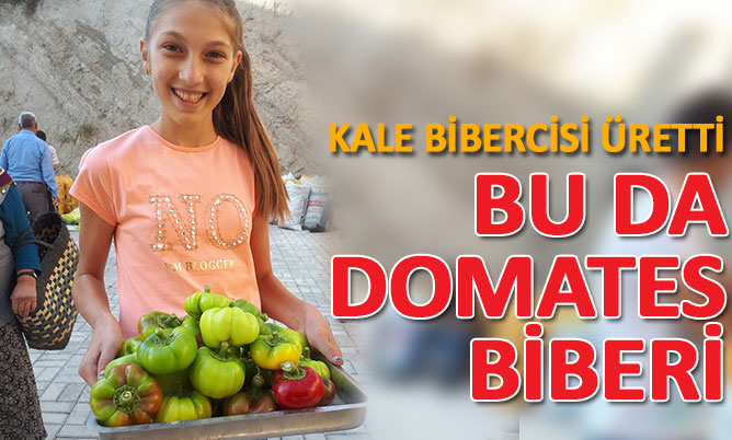 Kale bibercisi domates biberi üretti