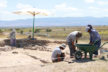 Höyükten 8 bin 750 yıllık kemik orak çıktı