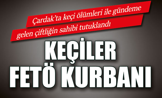Çardak’ta keçi ölümleri ile gündeme gelen çiftliğin sahibi tutuklandı