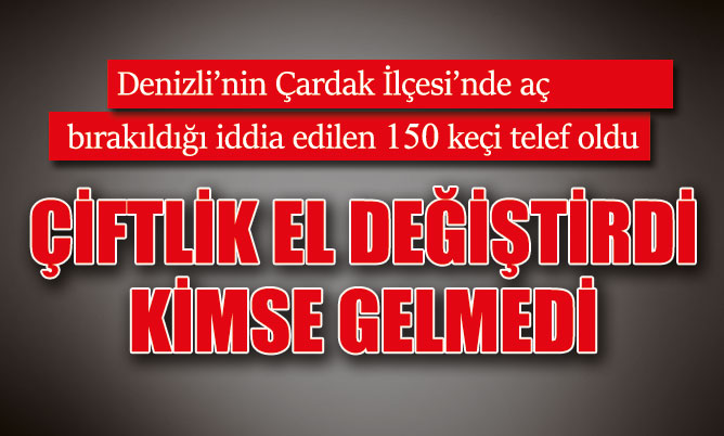 Denizli’de aç bırakıldığı iddia edilen 150 keçi telef oldu