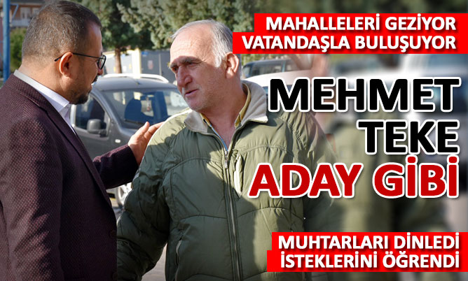Mehmet Teke aday gibi çalışıyor