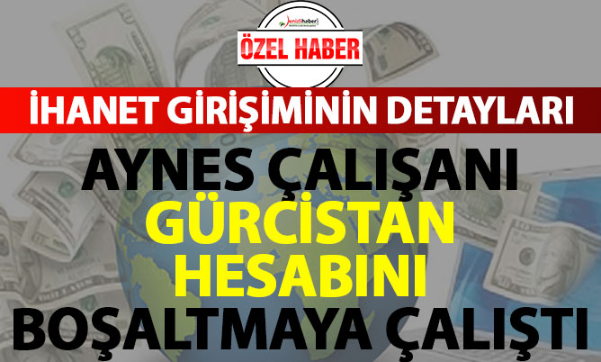 Aynes çalışanı Gürcistan hesabını boşaltmaya çalışmış