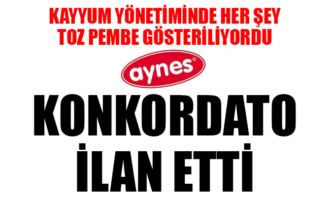 AYNES konkordato ilan etti