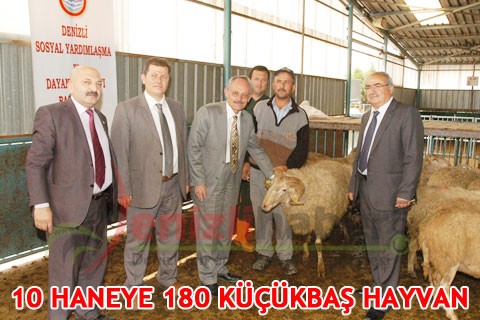 10 HANEYE 180 KÜÇÜKBAŞ HAYVAN