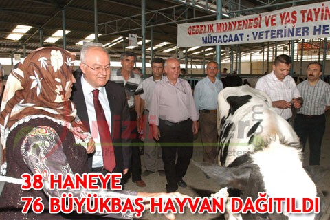 38 HANEYE 76 BÜYÜKBAŞ HAYVAN DAĞITILDI