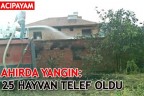 AHIRDA YANGIN: 25 HAYVAN TELEF OLDU