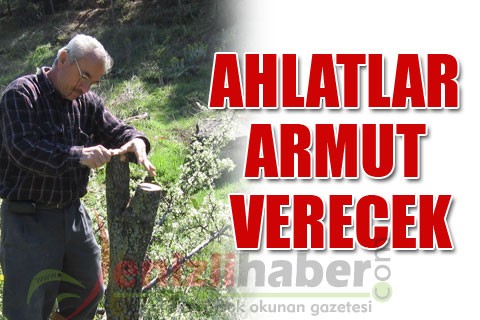 AHLATLAR ARMUT VERECEK