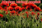 Akakça birinci seçildi