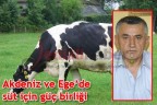 Akdeniz ve Ege’de süt için güç birliği