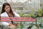 ANADOLU’NUN YERLİ TOHUMLARI PAMUKKALE ÜNİVERSİTESİ’NE EMANET