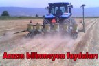 Anızın bilinmeyen faydaları