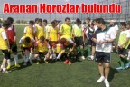 Aranan Horozlar bulundu