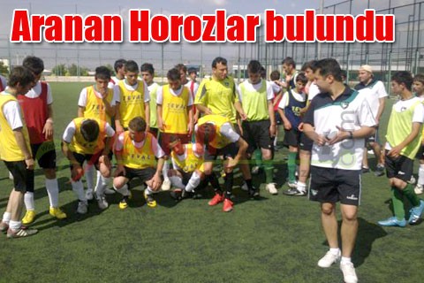Aranan Horozlar bulundu
