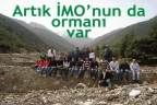 Artık İMO’nun da ormanı var