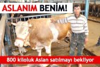 ASLANIM BENİM!