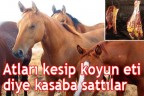 At etini, koyun eti diye sattılar