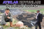Atıklar koyunları öldürdü iddiası