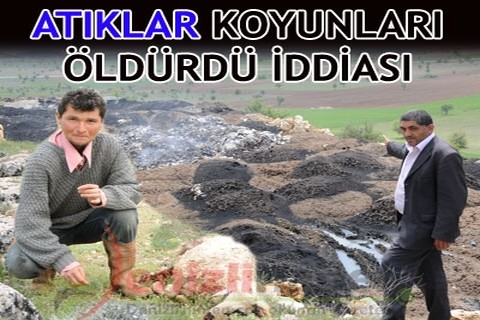 Atıklar koyunları öldürdü iddiası