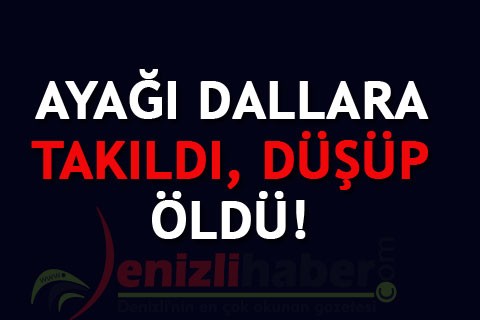 AYAĞI DALLARA TAKILDI, DÜŞÜP ÖLDÜ!