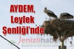 AYDEM, Leylek Şenliği’nde