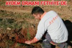 AYDEM ORMANI FETHİYE’DE