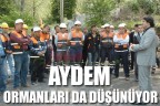 AYDEM ormanları da düşünüyor