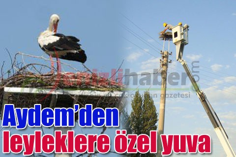 Aydem’den leyleklere özel yuva