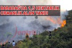 Babadağ’da 1,5 hektarlık ormanlık alan yandı