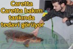 Bakım tankında tedavi görüyor