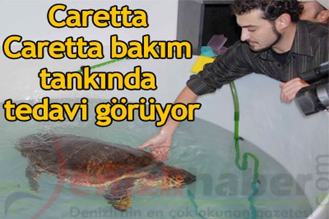 Bakım tankında tedavi görüyor