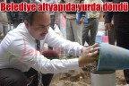 Belediye altyapıda yurda döndü