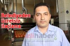 Belediyeden ücretsiz ilaçlama