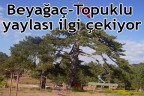 Beyağaç-Topuklu yaylası ilgi çekiyor