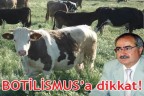 BOTİLİSMUS’a dikkat!
