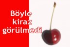 Böyle kiraz görülmedi