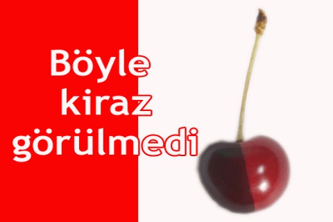Böyle kiraz görülmedi
