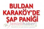 Buldan Karaköy’de şap paniği
