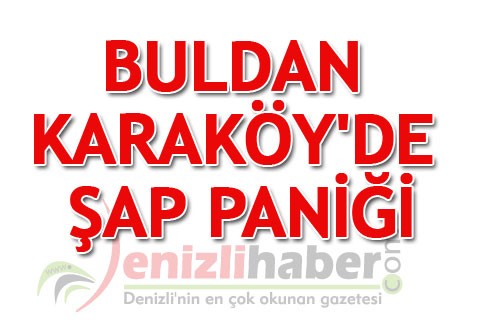 Buldan Karaköy’de şap paniği