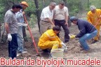 Buldan’da biyolojik mücadele